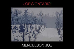 Joe's Ontario by Mendelson Joe, Silcox David, 9781770410985