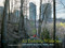 An Enduring Wilderness (Toronto's Natural Parklands) by Robert Burley, 9781770413795