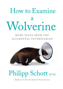 How to Examine a Wolverine (More Tales from the Accidental Veterinarian) by Philipp Schott, 9781770415881