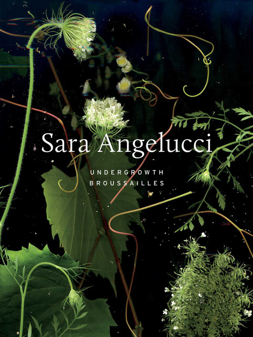 Sara Angelucci: Undergrowth / Broussailles by Sara Angelucci, Shannon Anderson, Bénédicte Ramade, Demetra Christakos, Fides Krucker, Kim Fahner, 9781770417403