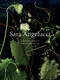 Sara Angelucci: Undergrowth / Broussailles by Sara Angelucci, Shannon Anderson, Bénédicte Ramade, Demetra Christakos, Fides Krucker, Kim Fahner, 9781770417403