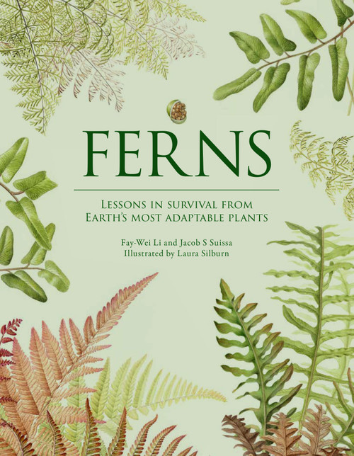 Ferns (Lessons in Survival From Earth's Most Adaptable Plants) by Fay-Wei Li, Jacob S. Suissa, 9781958417850