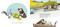 Sloth and Squirrel on Vacation by Cathy Ballou Mealey, Kelly Collier, 9781525312564