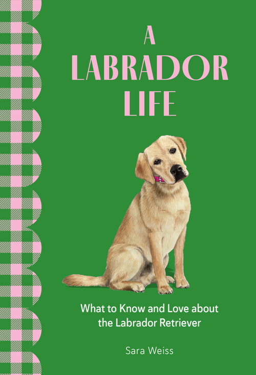 A Labrador Life (What to Know and Love About the Labrador Retriever) by Sara Weiss, 9781577155041