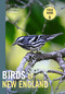 Birds of New England (A Timber Press Field Guide) by Zach Adams, 9781643262017