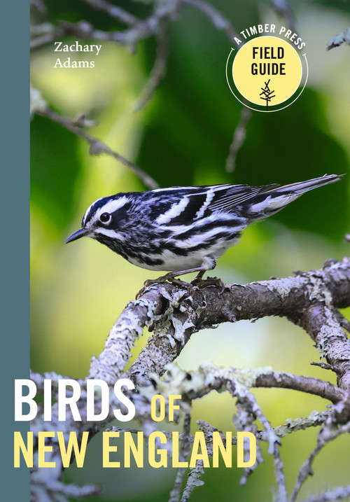 Birds of New England (A Timber Press Field Guide) by Zach Adams, 9781643262017