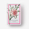 New York Botanical Garden: In Full Bloom Postcards (100 Postcards from the Archives of the New York Botanical Garden) by The New York Botanical Garden, 9780593796474