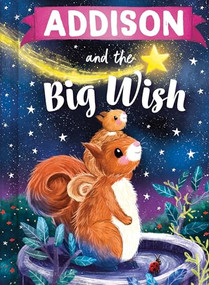 Addison and the Big Wish by Louise Martin, Laura Watkins, 9781464240072