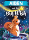 Aiden and the Big Wish by Louise Martin, Laura Watkins, 9781464240089