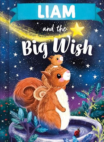 Liam and the Big Wish by Louise Martin, Laura Watkins, 9781464240553