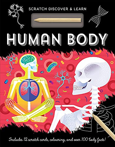 Human Body - 9781801051347 by Susan Mayes, Amanda Shufflebotham, 9781801051347