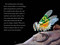 TIME for Kids: Insects - 9780593888049 by Jevon Bolden