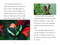 TIME for Kids: Insects - 9780593888049 by Jevon Bolden