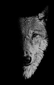 In the company of wolves (Werewolves, wolves and wild children) by Sam George, Bill Hughes, 9781526171979