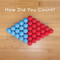 How Did You Count? (5-Pack of Softcover Picture Book) by Christopher Danielson, 9781032902302