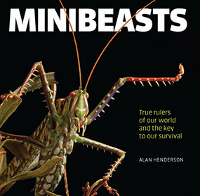 Minibeasts (True rulers of our world and the key to our survival) by Alan Henderson, 9781925335842