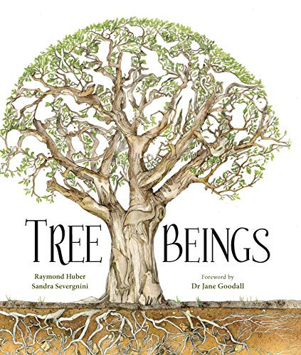 Tree Beings by Raymond Huber, Sandra Severgnini, 9781925820539