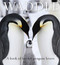 Waddle (A Book of Fun for Penguin Lovers) by Lloyd Spencer Davis, 9781925335910
