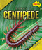 Giant Centipede - 9798889165002 by Rachel Rose, 9798889165002