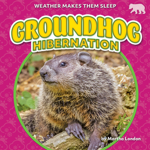 Groundhog Hibernation - 9798889162247 by Martha London, 9798889162247
