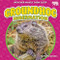 Groundhog Hibernation - 9798889162247 by Martha London, 9798889162247