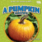 A Pumpkin Grows - 9798892327268 by Rex Ruby, 9798892327268