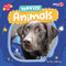 Service Animals - 9798892327312 by E. C. Andrews, 9798892327312