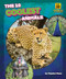 The 10 Coolest Animals by Rachel Rose, 9798892326377