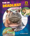 The 10 Deadliest Animals by Rachel Rose, N/A, 9798892326391