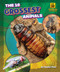 The 10 Grossest Animals by Rachel Rose, 9798892326407