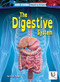 The Digestive System - 9798892326544 by D. R. Faust, 9798892326544