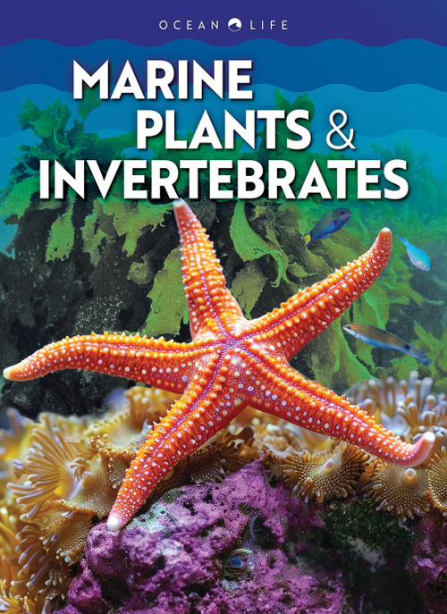Marine Plants & Invertebrates by Claudia Martin, N/A, 9798892328920