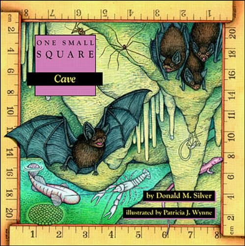 Cave by Patricia Wynne, Donald M. Silver, 9780070579293