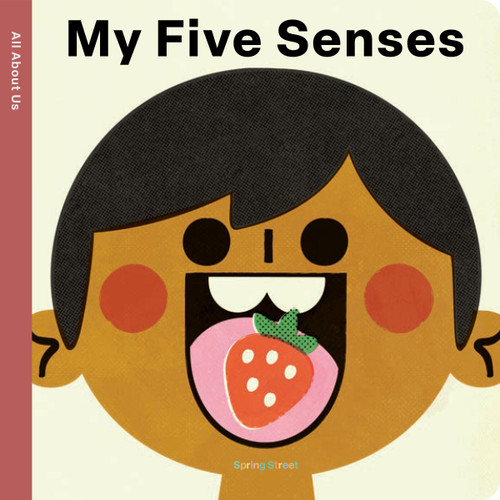 Spring Street All About Us: My Five Senses by Boxer Books, Pintachan, 9781454712336