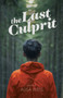 The Last Culprit by Alisa Weis, 9781945062179