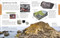 Geography (A Visual Encyclopedia) by DK, 9780593965610