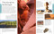 Geography (A Visual Encyclopedia) by DK, 9780593965610