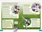 DK Super Readers Level 3 Baseball by DK, 9780593967270
