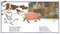 Mrs. Wishy-Washy's Farm - 9780593694619 by Joy Cowley, Elizabeth Fuller