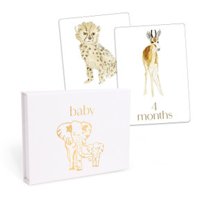 Baby: First Year Milestone Cards (12 Monthly Cards for Photos and Display) by LouLou Baker, 9781454955665