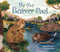 By the Beaver Pool by Catherine Ward, Phoebe Roze, 9781782509356