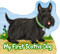 My First Scottie Dog by Melanie Mitchell, 9781782509349