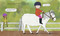 The Riding Lesson by Jennifer K. Mann, Jennifer K. Mann, 9781536235265