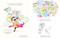 Iris Shines by Stacy Ebert, Stacy Ebert, 9780593691335