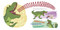 My Teacher Is a Dinosaur! by Bill Canterbury, Jeff Harter, 9780593807934