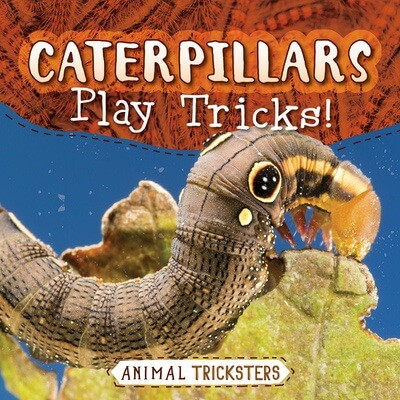 Caterpillars Play Tricks! by Jennifer Lombardo, 9781538293485