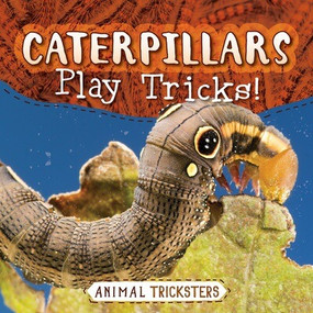 Caterpillars Play Tricks! - 9781538293492 by Jennifer Lombardo, 9781538293492