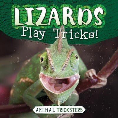 Lizards Play Tricks! by Anna Collins, 9781538293515