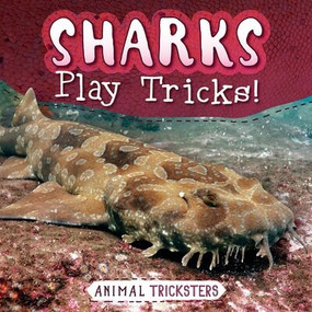 Sharks Play Tricks! by Jennifer Lombardo, 9781538293546