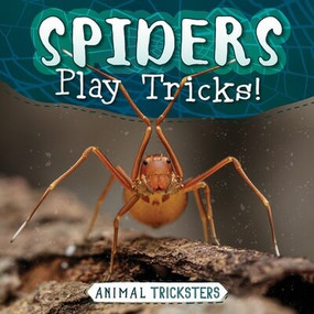 Spiders Play Tricks! by Meghan Green, 9781538293607